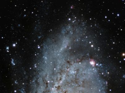 The Triangulum Galaxy